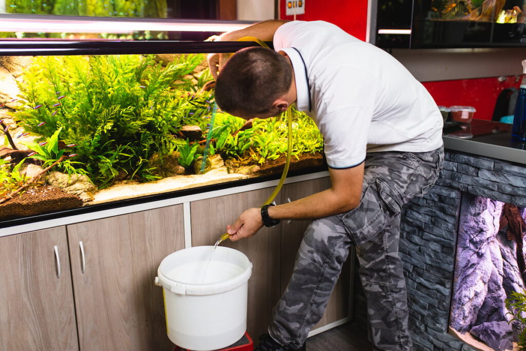 Aquarium Cleaning Dubai