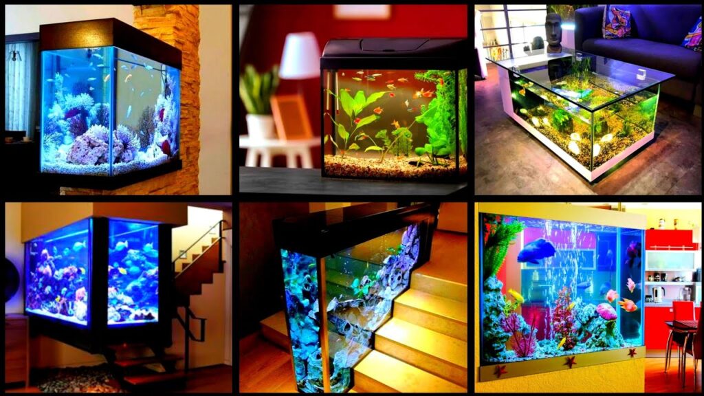 Unique Aquarium Decor & Supplies | Aquarium Cleaning & Maintenance