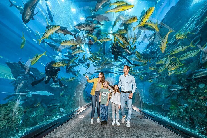 Aquarium Cleaning Dubai