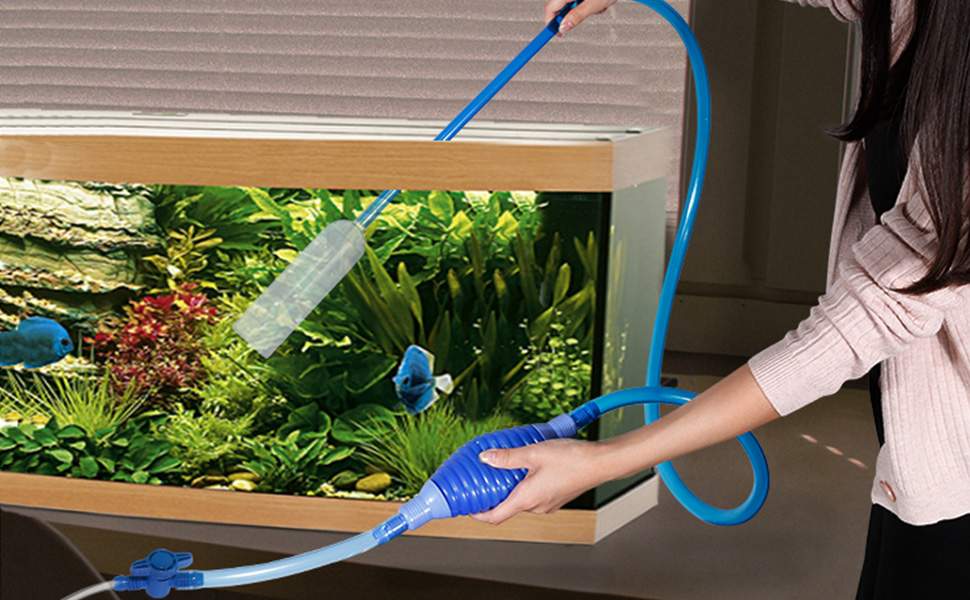 Aquarium Cleaning Maintenance