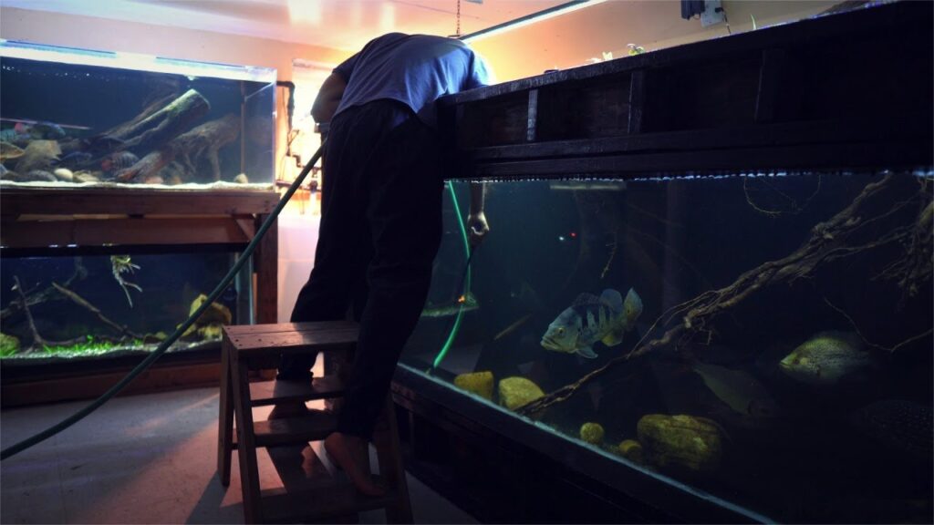 Aquarium Cleaning & Maintenance