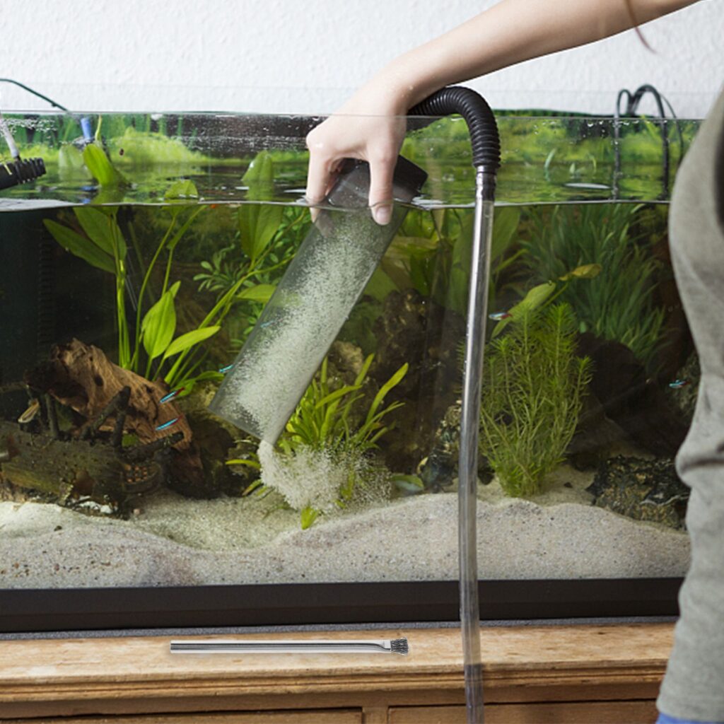 Aquarium Cleaning for Crystal Clear Tank Water