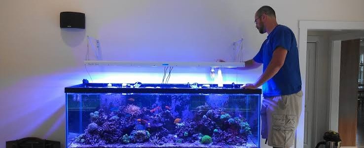 Aquarium Relocation Service in Dubai