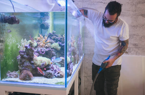 Cleaning Saltwater Aquarium Service