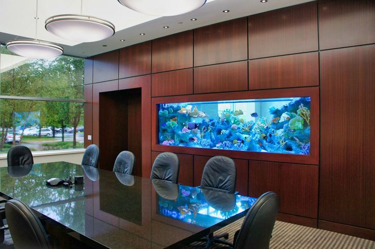 Office aquariums