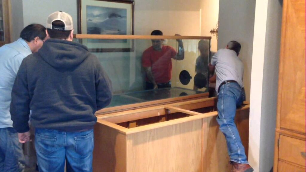 Aquarium Relocation Service