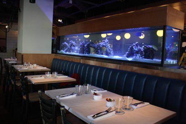 Restaurant fish tanks