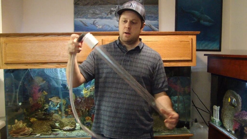 Safe Fish Tank Vacuum Cleaning Service