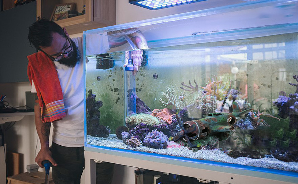Saltwater Aquarium Cleaning Service